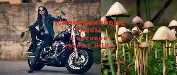 прущая мука Армянск